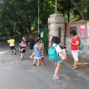 송월초등학교 Daum카페