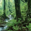 신한행정사사무소 이미지