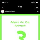 주루루