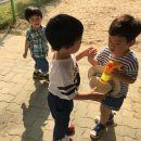 참새놀이터