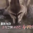 첨단기업로2R(2)-9 | 250523 젠지(vs DRX) LCK 2R 직관 후기 (ft. 팬존)