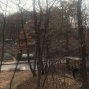 충장로 350번길 이미지