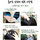 앙포레 모리노 헤어 이천점