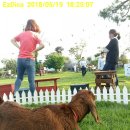 알파농장 이미지