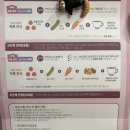 강한의원 앞　 | 강남선이고은한의원 한약다이어트 4kg 감량 후기