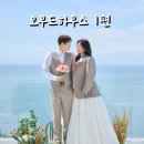 초코렛PC | W 8. 오우드하우스 솔직 후기 1편(정수영 작가님) - 부산웨딩촬영