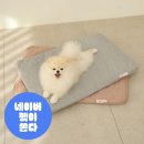 시리어스펫 슬개골 탄탄베드 강아지 슬개골 침대 매트리스 사용 후기