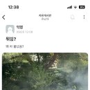 호대통닭연구소