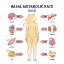 예그린한의원 이미지