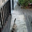 제주팡스테이 이미지