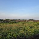 소소링제주2 이미지