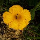 선유농장 이미지