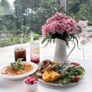 파주 브런치 카페 추천｜돌잔치 모임하기 좋았던 루다에뜰 후기