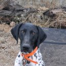 수성동물병원 이미지