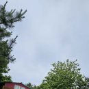 해나루민박 이미지