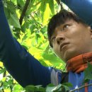 병순 농장 이미지