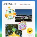 블룸데코 | 피크민 블룸 저니 2026 : 서울 후기 팁