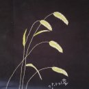 디엠사