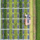 하늘 태양광발전소 이미지