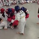 극동태권도장 이미지