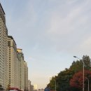 알뜰천하주유소 | 거의 따블 요금을 주신 초로(初老)의 부유층 할머니 손님