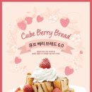 커피베리 이미지