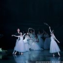 (공연) 국립발레단 <지젤> 이미지