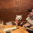 남강치킨 이미지