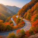 (주)정선환경 | 차에서 안 내려도 단풍이 쏟아지는 ‘정선소금강’ 기암절벽과 지질의 보고