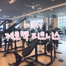 쇼핏전주점 | 전주 24시 헬스장 제로백 피트니스 3개월 다닌 후기