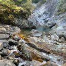 스팅 펜션 | 조용히 쉬고 싶다면 여기! 북적임 없이 힐링 제대로 되는 샬롬펜션 솔직후기 가족·단체 모두 추천합니당~