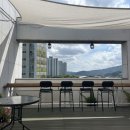 레몬비 진접 | 남양주 진접카페 반려견동반 가능 966 루프탑