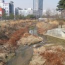 묵동천 이미지