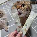성내삼일슈퍼 | 고양이 간식 높은 기호성 꾸덕한 츄르 수플담 팔도스틱 팔도미식회
