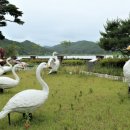 화진포 생태박물관 이미지