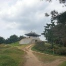 우암산등산로1 이미지