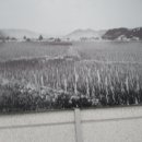 순천기획 Daum카페