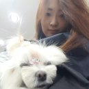 솜씨가구수선 이미지