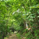 개인약수산방 이미지