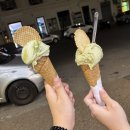 강아지를 부탁해 | 🇮🇹여름을 부탁해!☀️(1) 로마시내러닝/바티칸마트추천/트리온팔레현지시장탐방기