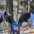 금당사 화장실 이미지