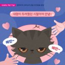 리더스동물병원 이미지