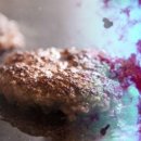 다진유치원 이미지