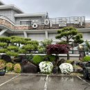 풍하갈비 이미지