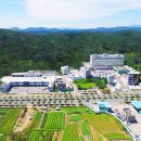 에스포항병원 이미지