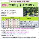 2025년 아장아장 유아숲체험 안내합니다 이미지