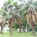 연동공원 이미지