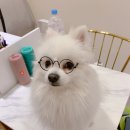 하조교 이미지