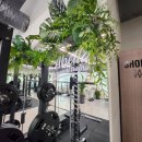 아벨라 PT&필라테스 이미지