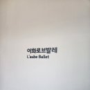 이화로 | [당산발레/영등포발레] 이화로브발레 수강후기